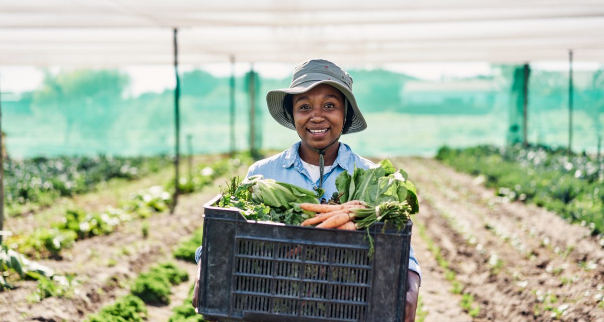 Portrait of happy young farmer holding a crate full of freshly harvested raw vegetables in season. Smiling woman working on organic and sustainable farm garden to cultivate vegetation in agribusiness Portrait of happy young farmer holding a crate full of freshly harvested raw produce in season. Smiling woman working on an organic and sustainable farm garden to cultivate vegetation in agribusiness